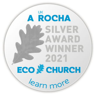 eco silver